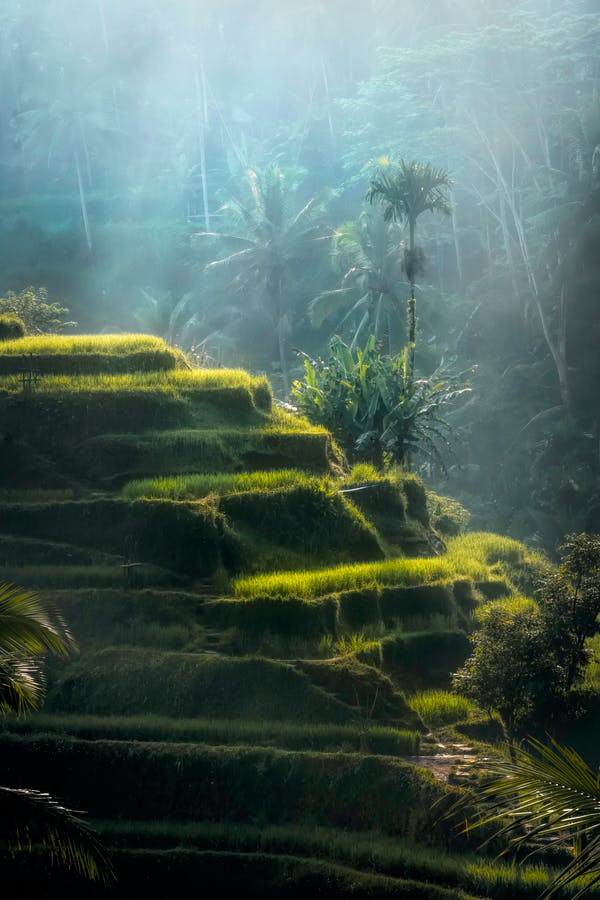 Munnar