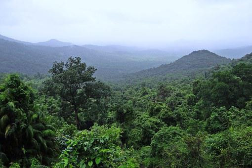 Munnar