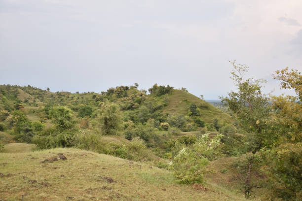 Munnar