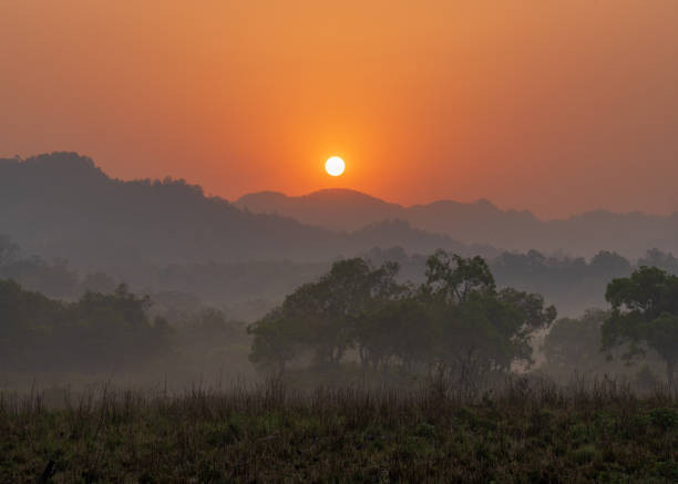 Munnar