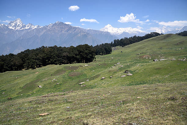 Munnar