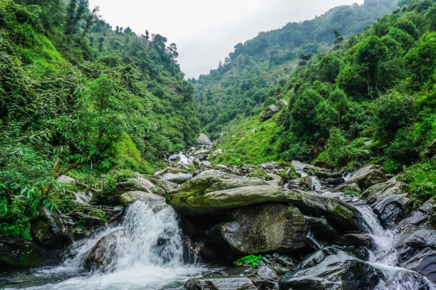 Munnar