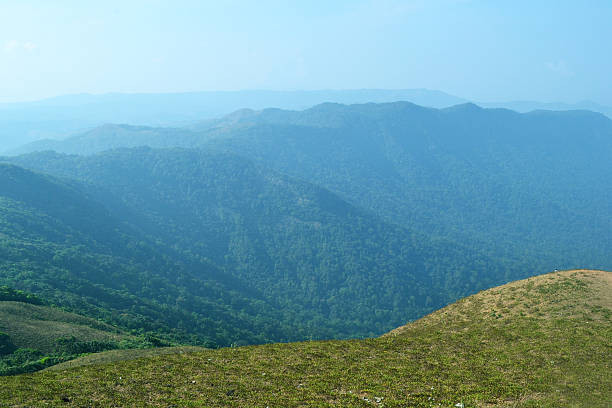 Munnar