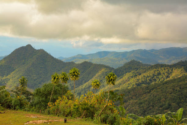 Munnar