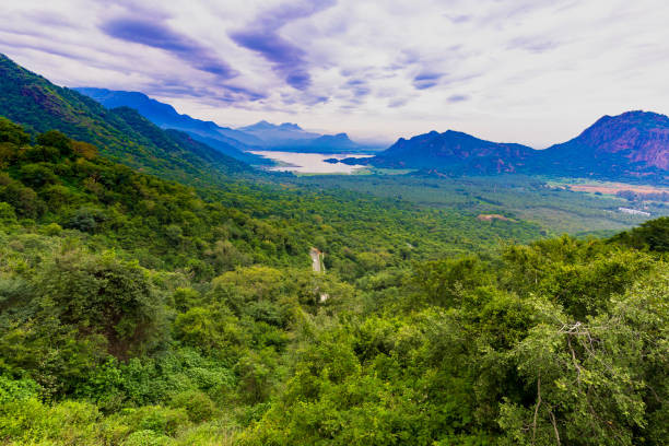 Munnar