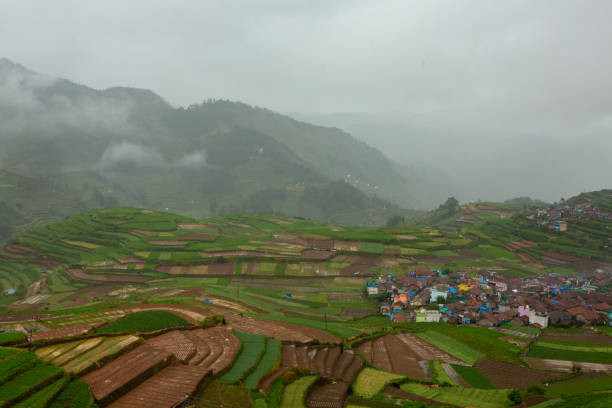 Munnar